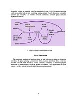 Diplomdarbs 'Personāla motivācijas uzlabošana uzņēmumā "Hydrotech LTD"', 23.