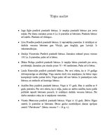 Biznesa plāns 'Biznesa plāns', 5.