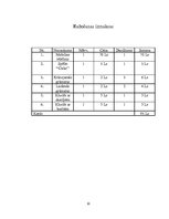 Biznesa plāns 'Biznesa plāns', 10.