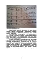 Referāts 'Viadukts pār Lorupes gravu', 13.