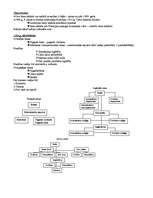 Konspekts 'Latvijas tiesību vēsture 19.gadsimtā', 5.