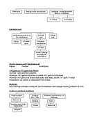 Konspekts 'Latvijas tiesību vēsture 19.gadsimtā', 10.