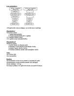 Konspekts 'Latvijas tiesību vēsture 19.gadsimtā', 11.