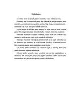 Referāts 'Fizika internetā', 22.