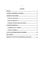 Referāts 'Pievienošanās Eiropas Savienībai', 2.