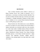 Referāts 'Pievienošanās Eiropas Savienībai', 13.