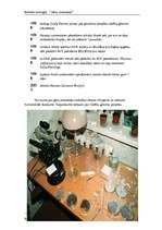 Referāts 'Gēnu inženierija', 10.