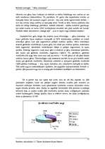 Referāts 'Gēnu inženierija', 13.