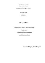 Konspekts 'Uzņēmuma misija, vīzija un mērķi', 1.