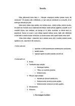 Referāts 'Mārupes vidusskolas skolēnu kabatas nauda, tās izlietojums', 3.