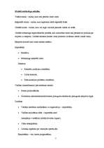 Konspekts 'Starptautiskās reklāmas un mārketinga veidošanās un problēmas', 2.