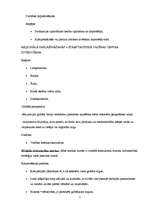 Konspekts 'Starptautiskās reklāmas un mārketinga veidošanās un problēmas', 3.