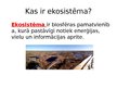 Prezentācija 'Ekosistēma Latvijā', 2.