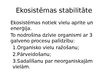 Prezentācija 'Ekosistēma Latvijā', 3.