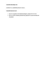 Referāts 'Publicista valodas analīze. Ieva Alberte', 7.
