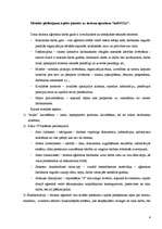 Referāts 'Kaizen – nelielu pastāvīgo pārmaiņu metode', 4.