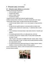 Referāts 'Mūsdienu olimpiskās spēles', 15.