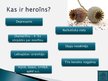 Prezentācija 'Heroīns', 3.