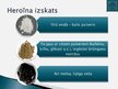 Prezentācija 'Heroīns', 4.