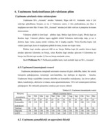 Biznesa plāns 'Biznesa plāns apbedīšanas birojam "Aizsaule"', 28.