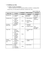 Biznesa plāns 'Biznesa plāns apbedīšanas birojam "Aizsaule"', 31.