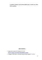 Referāts 'Vācu klasiskā perioda ievērojamāko pārstāvju pedagoģiskās atziņas', 17.