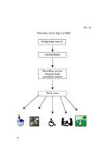 Referāts 'Sods krimināltiesībās', 40.