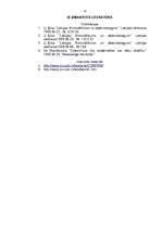 Referāts 'Datornoziegumi un to vieta Latvijas Krimināllikumā', 16.