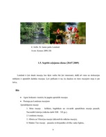 Referāts 'Ceļojuma maršruts "Valmiera - Marseļa - Monako - Londona - Valmiera"', 9.