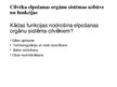 Prezentācija 'Cilvēka elpošanas orgānu sistēmas uzbūve un funkcijas', 1.