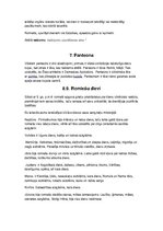 Prezentācija 'Reliģija. Dievu panteons Senajā Grieķijā', 13.