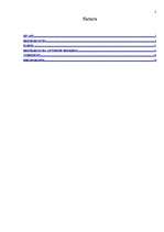 Referāts 'Reinkarnācija', 2.