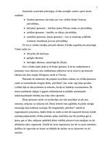 Referāts 'Reinkarnācija', 5.