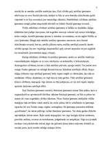 Referāts 'Reinkarnācija', 8.