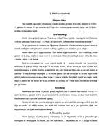 Referāts 'Fobiju un baiļu atšķirības', 19.