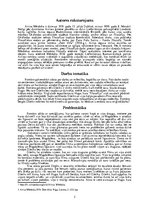 Konspekts 'Airisas Mērdokas darbs "Zem tīkla"', 2.