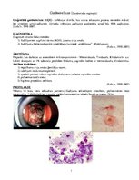 Konspekts 'Ginekoloģiskās infekcijas saslimšanas', 8.