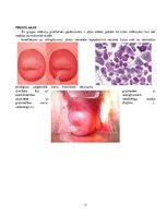 Konspekts 'Ginekoloģiskās infekcijas saslimšanas', 14.