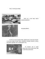 Referāts 'Kolhozs', 4.