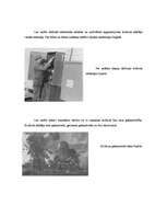 Referāts 'Kolhozs', 5.