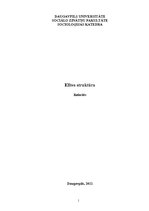 Referāts 'Elites struktūra', 1.