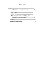 Referāts 'Elites struktūra', 2.