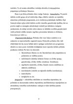 Referāts 'Elites struktūra', 12.