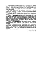 Konspekts 'Pasākumu komplekss, kas būtu jāveic, lai samazinātu bezdarba līmeni', 3.