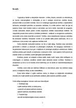 Referāts 'Konflikts uzņēmumā X', 2.