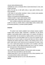 Referāts 'Konflikts uzņēmumā X', 19.