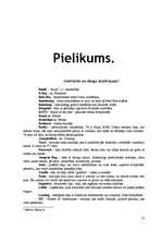 Referāts 'Projekts par hip hop kultūru', 13.