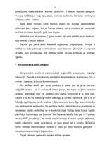 Referāts 'Jūras šaurumu un kanālu tiesiskais režīms', 11.