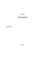 Referāts 'Durvis', 1.