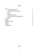 Referāts 'Durvis', 2.